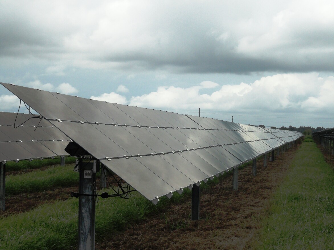 Solar Panels at TECO's Lake Hancock site in Polk County